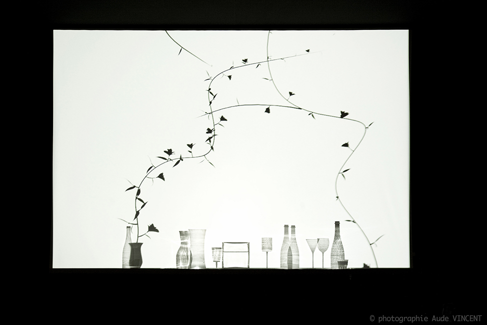 Scénographie Delight by Elizabeth Leriche, photographiée par Aude VINCENT