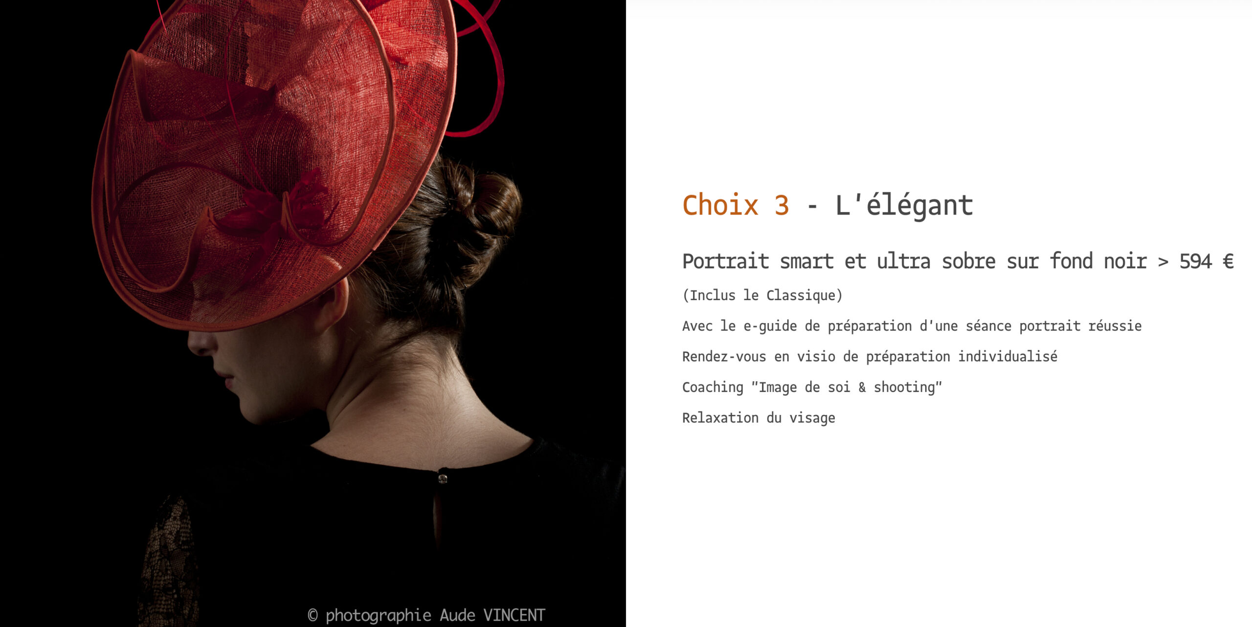 Les forfaits shooting Elegant 1