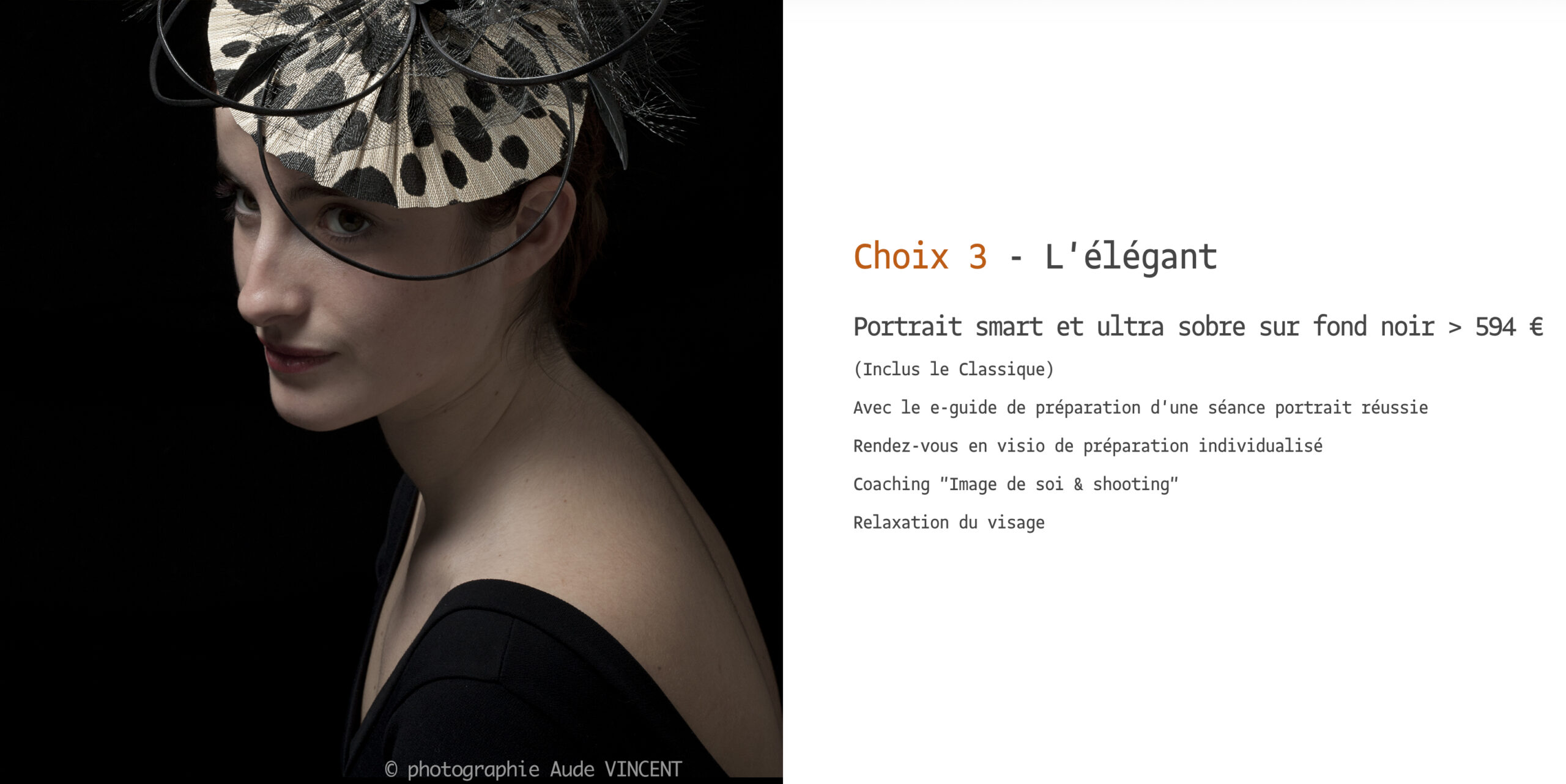 Les forfaits shooting Elegant 5