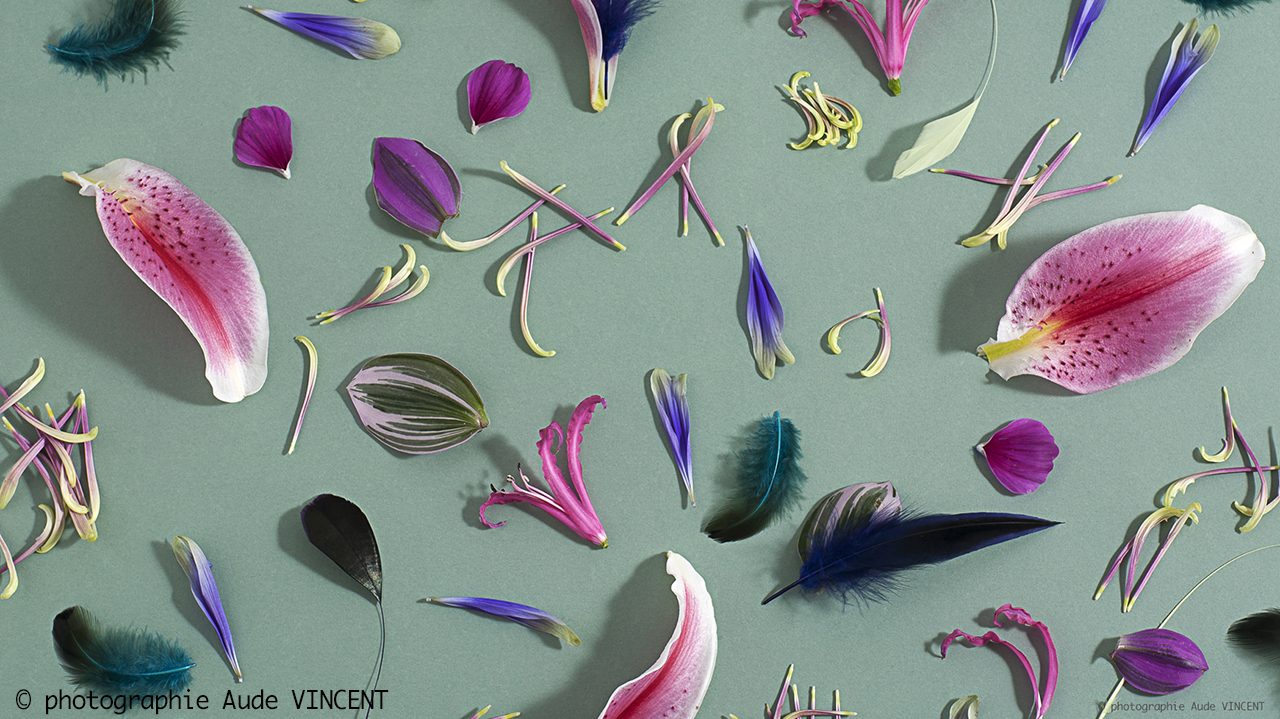 Photographie tendances Nelli Rodi Cahier Couleur hivers2021