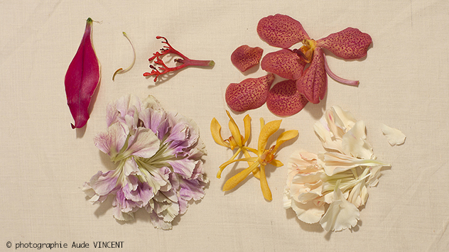Photographie tendances Nelli Rodi Cahier Couleur été 21